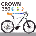 New Style Hidden Battery Suspension Electric Mountain Bicycle